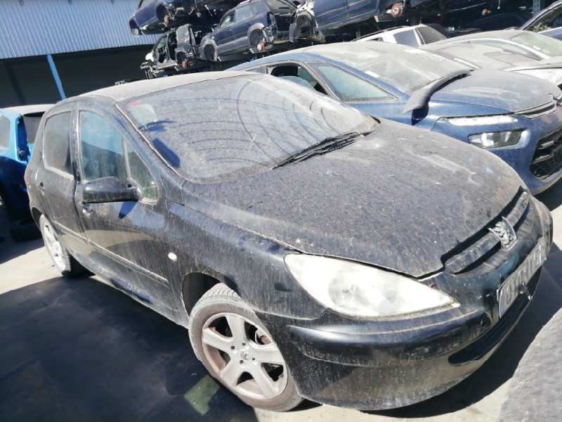 PEUGEOT 307 (S1)