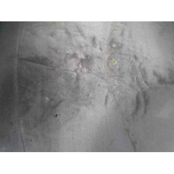 citroën c5 berlina del año 2005