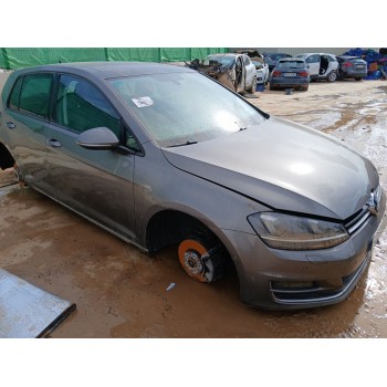 volkswagen golf vii (5g1, bq1, be1, be2) del año 2013