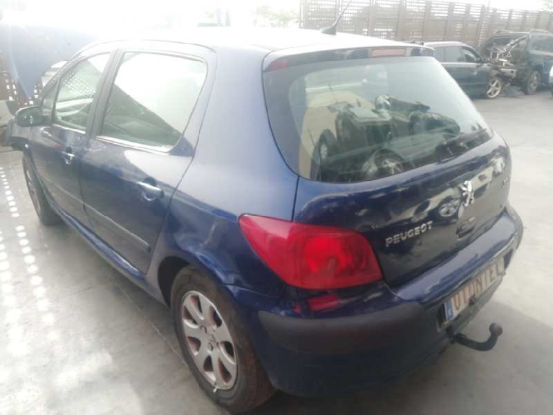 PEUGEOT 307 (S1)