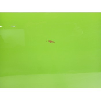 Recambio de puerta trasera derecha para porsche cayenne (9pa) 3.2 referencia OEM IAM 95553301206  95553301206GRV