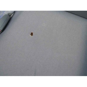 toyota paseo coupe (l54) del año 1996