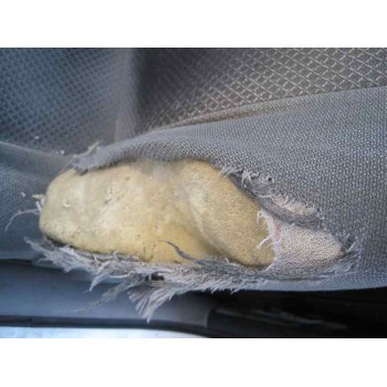 fiat seicento (187) del año 2006