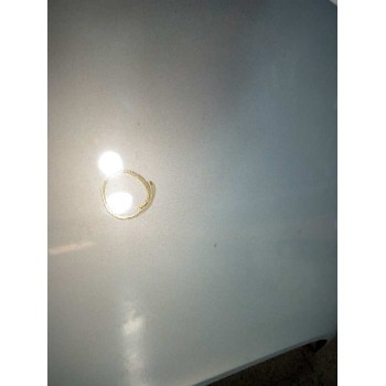 Recambio de capot para renault scenic ii 1.5 dci diesel referencia OEM IAM   