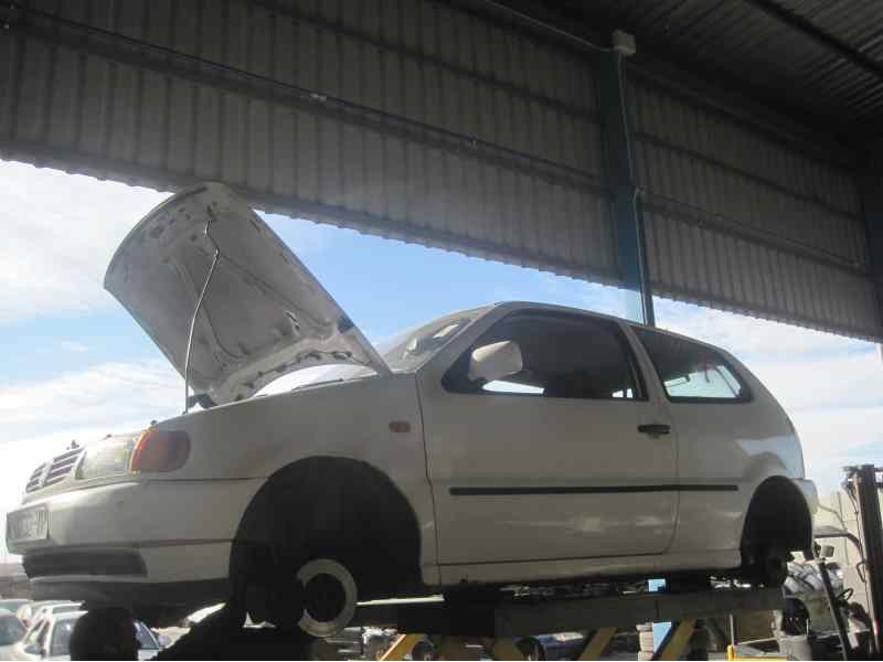 VOLKSWAGEN POLO BERLINA (6N1)