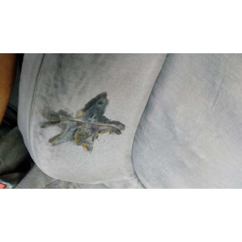 citroën c5 berlina del año 2001