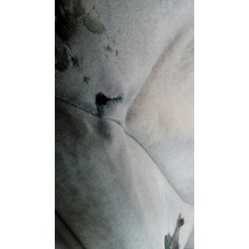 citroën c5 berlina del año 2001