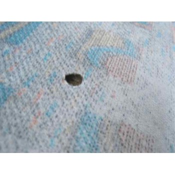 daewoo lanos del año 1999