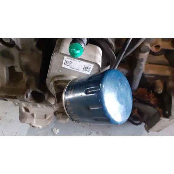 Recambio de radiador aceite para dacia sandero 1.5 dci diesel fap cat referencia OEM IAM 213059324R  