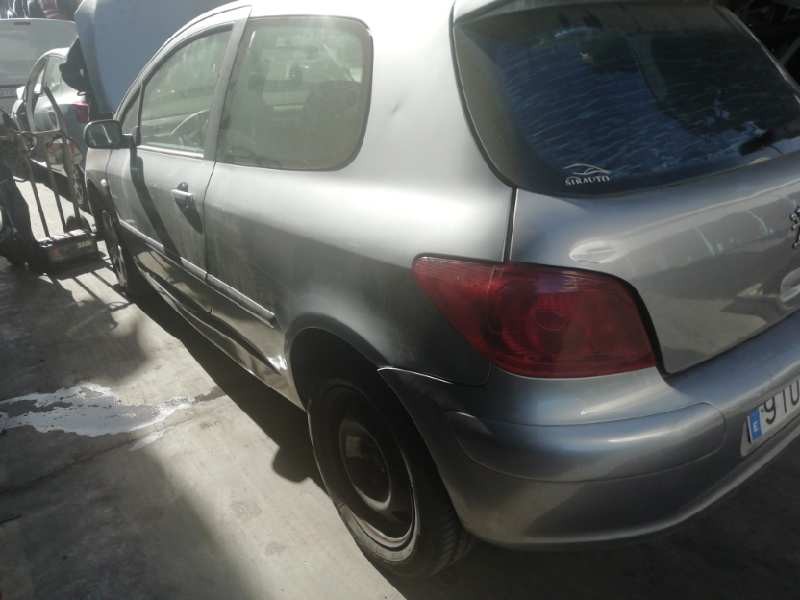PEUGEOT 307 (S1)