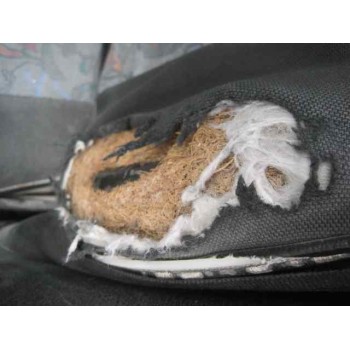 seat ibiza (6k) del año 1999