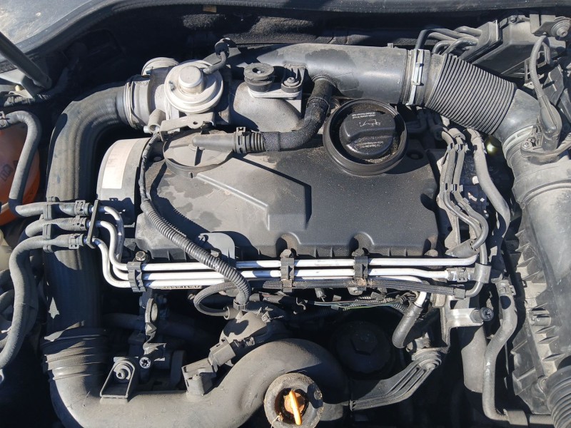 Recambio de motor completo para volkswagen golf v (1k1) 1.9 tdi referencia OEM IAM BKC B 
