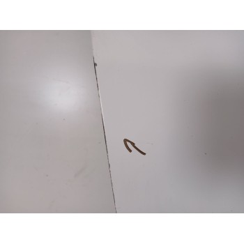 Recambio de puerta delantera derecha para citroën jumper iii furgoneta 2.0 bluehdi 110 referencia OEM IAM 9004EC  