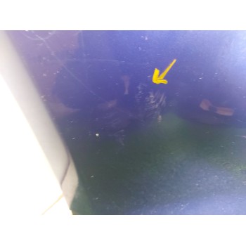 Recambio de paragolpes delantero para ford focus iii 1.6 tdci referencia OEM IAM bm5117757a  1 SERIE