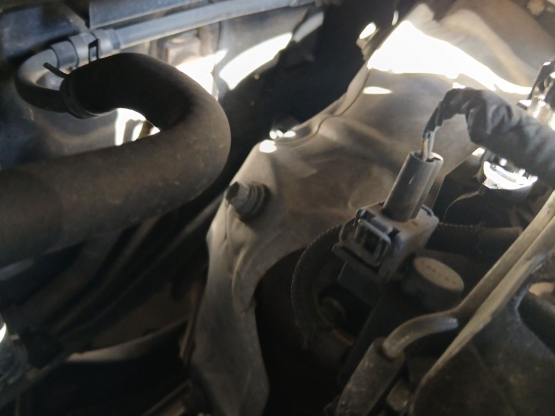 Recambio de filtro de particulas para toyota verso (_r2_) 2.0 d-4d (aur20_) referencia OEM IAM   