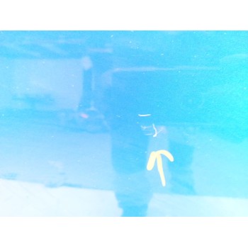 Recambio de puerta delantera izquierda para ford puma (j2k, cf7) 1.0 ecoboost referencia OEM IAM 2405130  