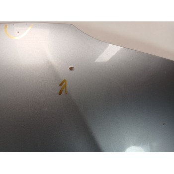 Recambio de capot para bmw x3 (e83) xdrive 20 d referencia OEM IAM 6917364  