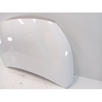 Recambio de capot para peugeot 208 ii (ub_, up_, uw_, uj_) 1.5 bluehdi 100 referencia OEM IAM   