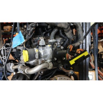 Recambio de despiece motor para chevrolet aveo / kalos hatchback (t250, t255) 1.4 referencia OEM IAM F14D4  B