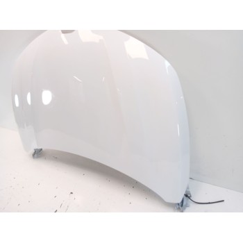 Recambio de capot para renault captur ii (hf_) 1.0 tce 90 eco-g (hfm6) referencia OEM IAM   