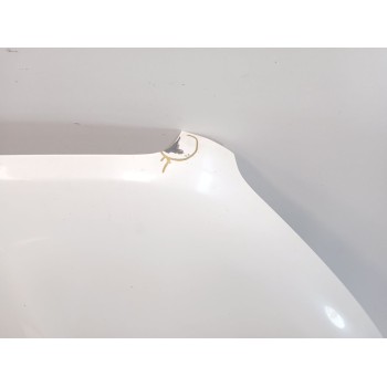 Recambio de capot para nissan qashqai i (j10, nj10) 2.0 referencia OEM IAM   