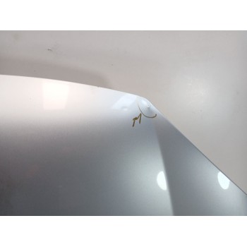Recambio de capot para volkswagen golf v variant (1k5) 1.9 tdi referencia OEM IAM   