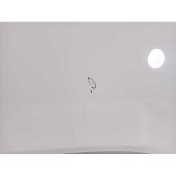 Recambio de capot para nissan juke (f15) 1.6 referencia OEM IAM   
