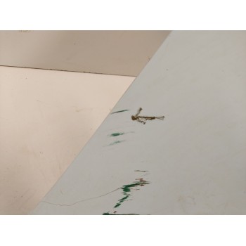 Recambio de paragolpes trasero para ford kuga ii (dm2) 2.0 tdci referencia OEM IAM 1845279 2012-2016 1831404