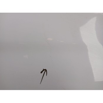 Recambio de puerta trasera derecha para citroën c4 ii (nc_) 1.2 thp 130 referencia OEM IAM   