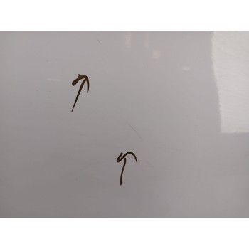 Recambio de puerta trasera derecha para citroën c4 ii (nc_) 1.2 thp 130 referencia OEM IAM   