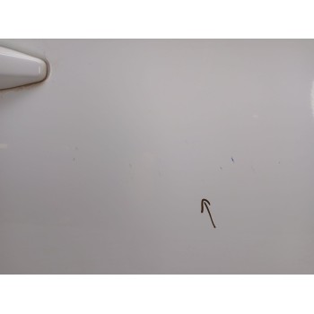 Recambio de puerta delantera derecha para citroën c4 ii (nc_) 1.2 thp 130 referencia OEM IAM   