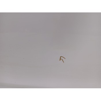 Recambio de puerta delantera derecha para citroën c4 ii (nc_) 1.2 thp 130 referencia OEM IAM   
