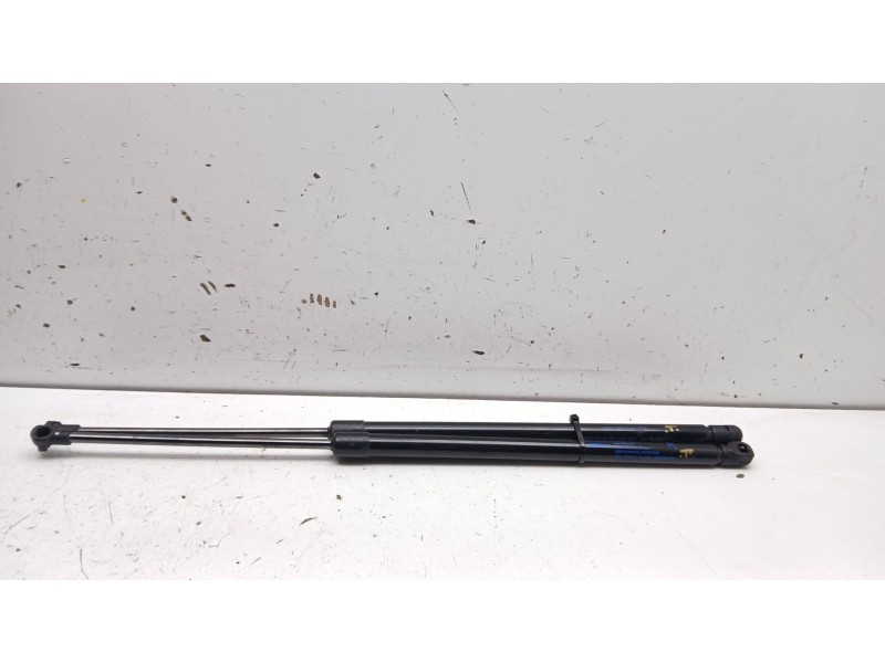 Recambio de amortiguadores maletero / porton para nissan juke (f16_) 1.0 referencia OEM IAM 904506PA0A 904516PA0A 