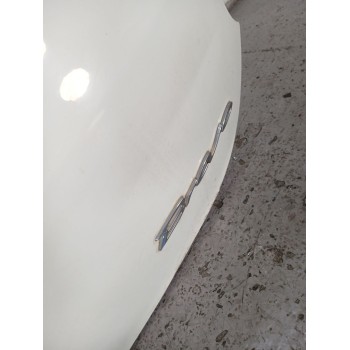 Recambio de porton trasero para fiat bravo (198) 1.6 jtdm 16v cat referencia OEM IAM  GOLPE 