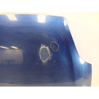 Recambio de capot para fiat grande punto (199_) 1.4 (199axb11, 199axb1a, 199bxb1a, 199axl1a) referencia OEM IAM   