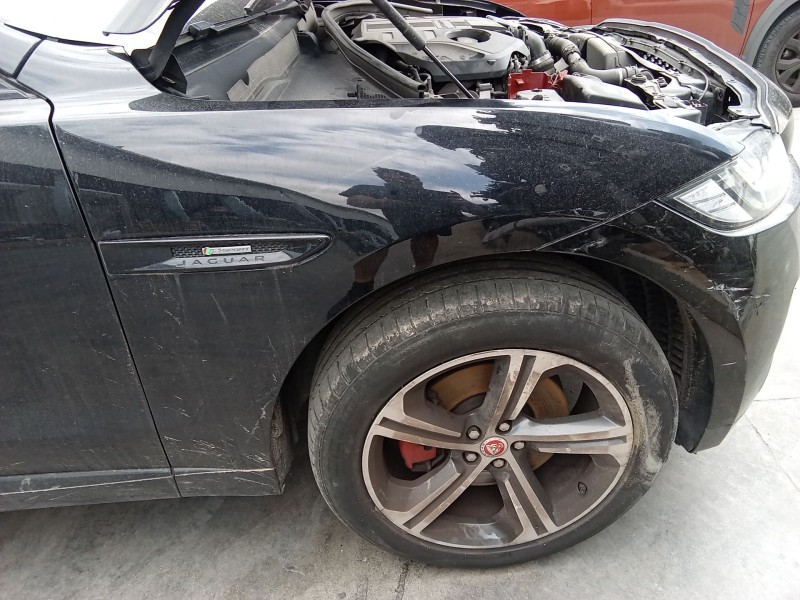 Recambio de aleta delantera derecha para jaguar xf sportbrake (x260) 3.0 d referencia OEM IAM   