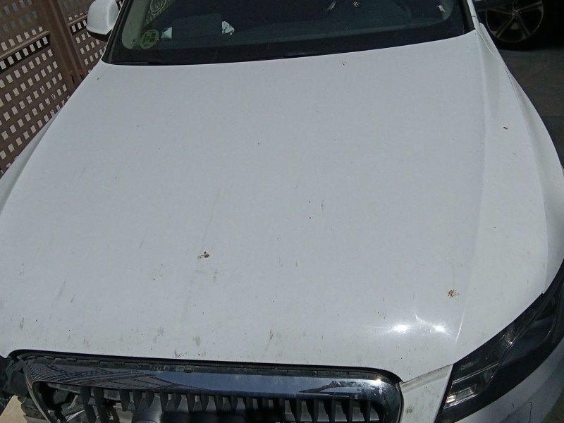 Recambio de capot para audi q5 (8rb) 2.0 tdi quattro referencia OEM IAM   