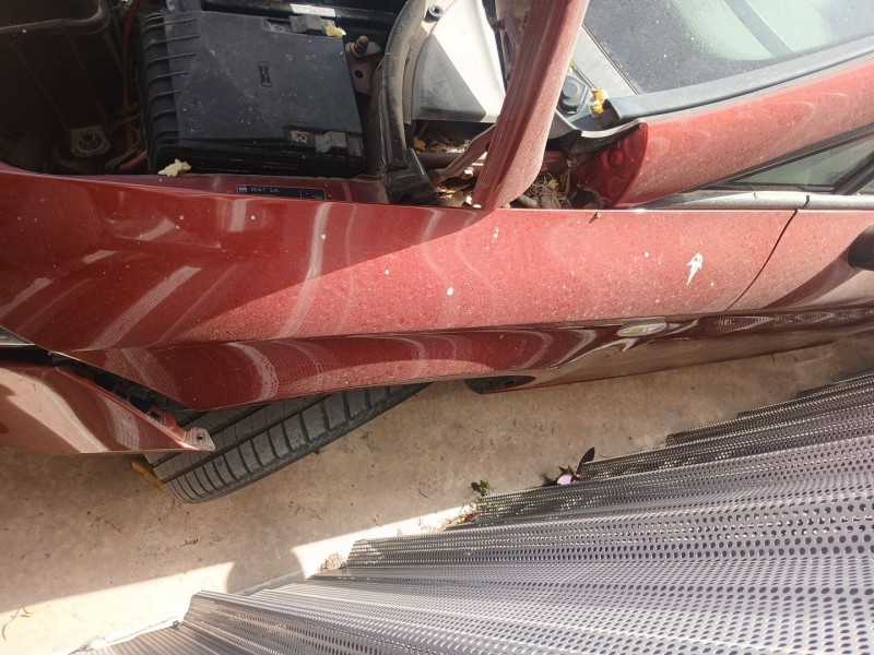 Recambio de aleta delantera izquierda para seat leon (1p1) 1.6 referencia OEM IAM   