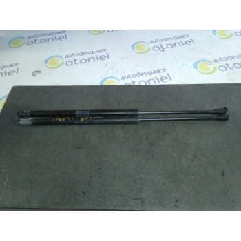 AMORTIGUADORES CAPO 48 CM 300N