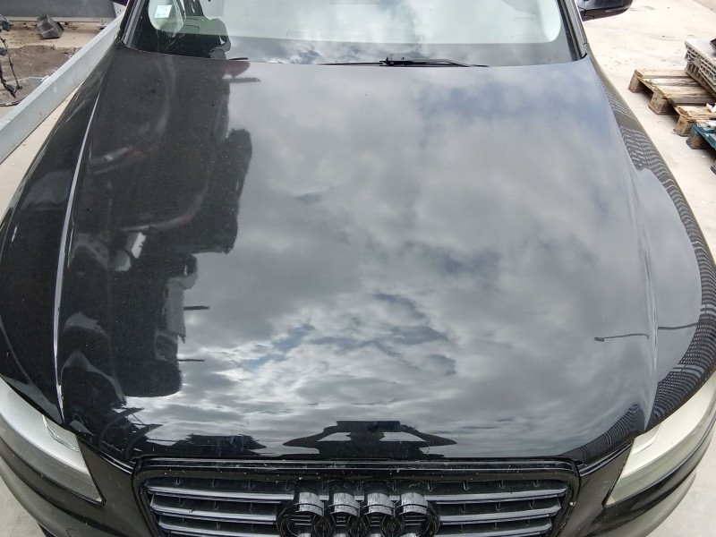 Recambio de capot para audi a4 b8 (8k2) 2.0 tdi referencia OEM IAM   