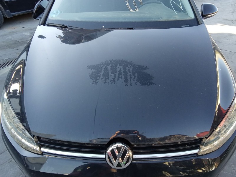 Recambio de capot para volkswagen golf vii variant (ba5, bv5) 1.6 tdi referencia OEM IAM   
