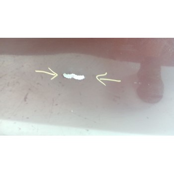 Recambio de puerta delantera izquierda para fiat 500 (312_) 1.0 mild hybrid (312.ayd1b) referencia OEM IAM 0000052136363  