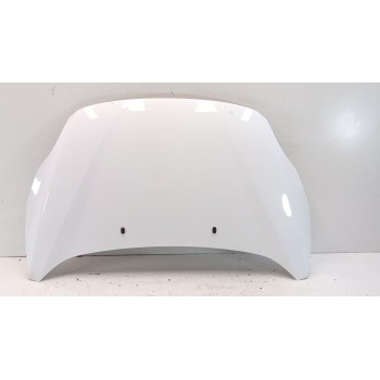 Recambio de capot para ford c-max edition referencia OEM IAM   