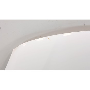 Recambio de capot para ford c-max edition referencia OEM IAM   