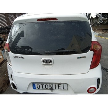 PORTON TRASERO 737001Y060 