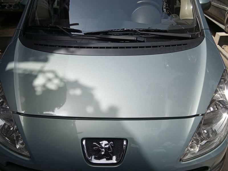Recambio de capot para peugeot 1007 (km_) 1.4 hdi referencia OEM IAM 7901K9  
