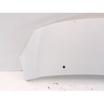Recambio de capot para citroën c3 ii (sc_) 1.4 referencia OEM IAM 7901R1  