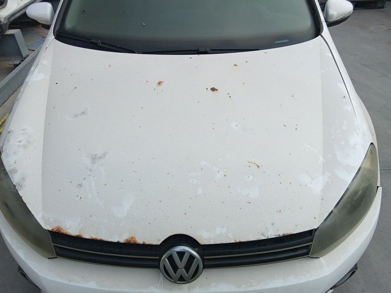 Recambio de capot para volkswagen golf vi (5k1) 1.4 tsi referencia OEM IAM 5K0823031G  