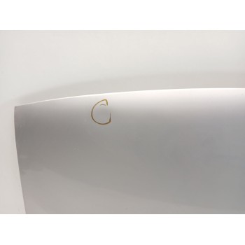 Recambio de capot para citroën evasion monospace (22, u6) 2.0 hdi referencia OEM IAM 7901H2  