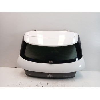 PORTON TRASERO 9800805380 